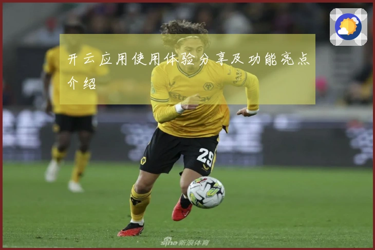 开云应用使用体验分享及功能亮点介绍