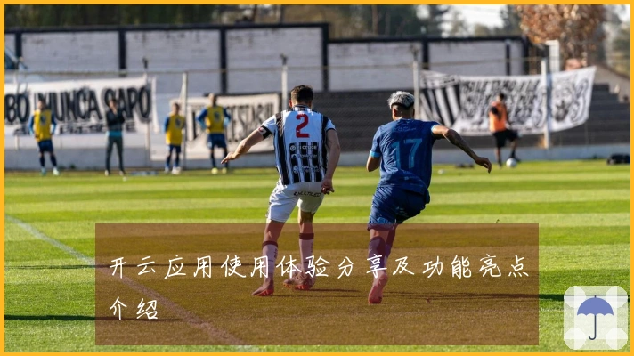 开云应用使用体验分享及功能亮点介绍